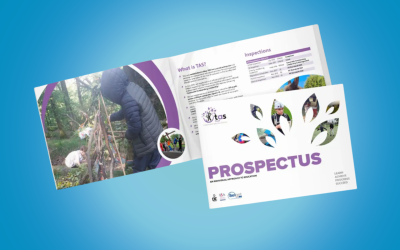 Why your school prospectus still matters (and how to get it right)
